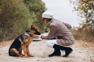 Top 10 Best Emotional Support Dog Breeds for Anxiety and Depression